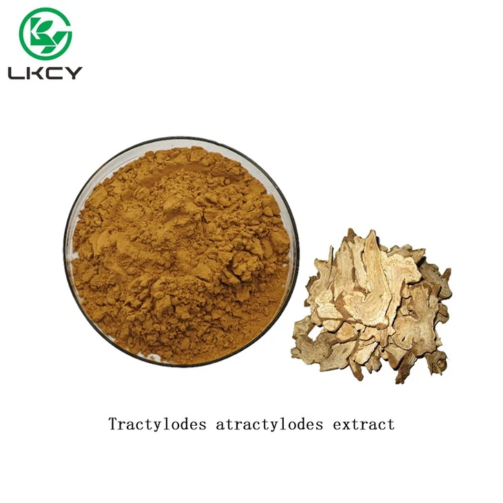 Estratto di Tractylodes Atractylodes
